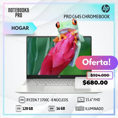 HP PRO C645 CHROMEBOOK ENTERPRISE - RYZEN 7 3700C - SSD 128 GB - 16 GB RAM - 14" FHD