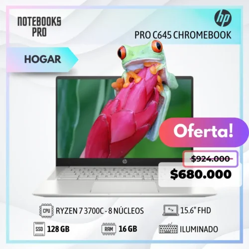 HP PRO C645 CHROMEBOOK ENTERPRISE - RYZEN 7 3700C - SSD 128 GB - 16 GB RAM - 14" FHD