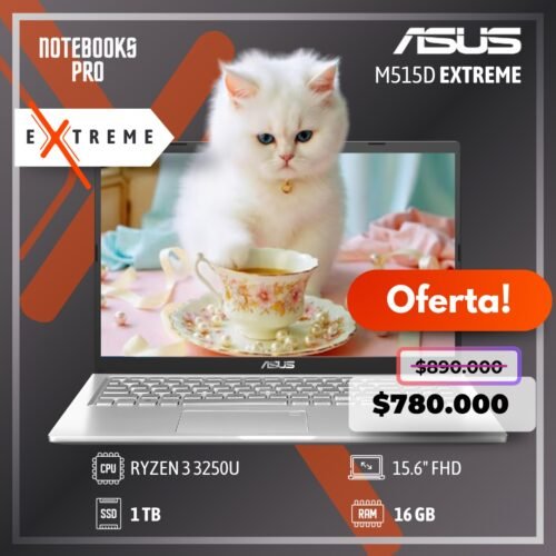 ASUS M515D EXTREME - RYZEN 3 3250U - SSD 1 TB - 16 GB RAM - 15.6" FHD
