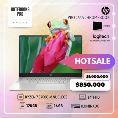 HP PRO C645 CHROMEBOOK ENTERPRISE - RYZEN 7 3700C - SSD 128 GB - 16 GB RAM - 14" FHD