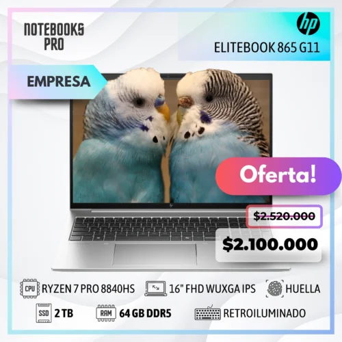 HP ELITEBOOK 865 G11 - RYZEN 7 PRO 8840HS - SSD 2 TB - 64 GB RAM - 16" FHD WUXGA IPS - Teclado Retroiluminado - Lector de huella - 8 núcleos